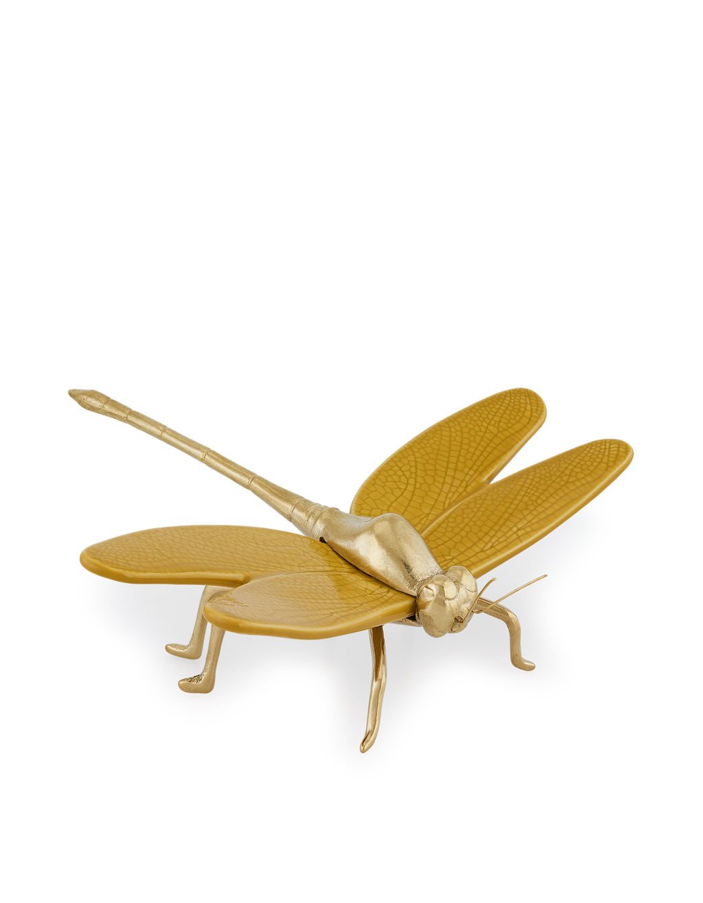 Dragon-fly