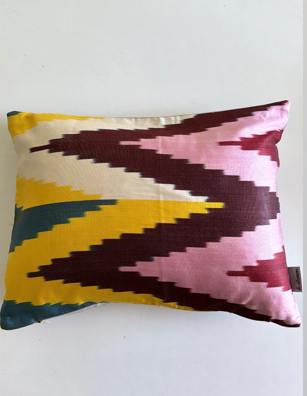 Silk Cushion