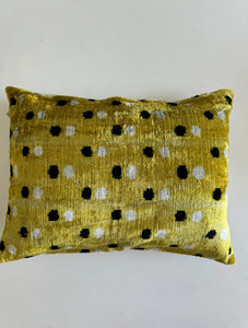 Velvet Cushion