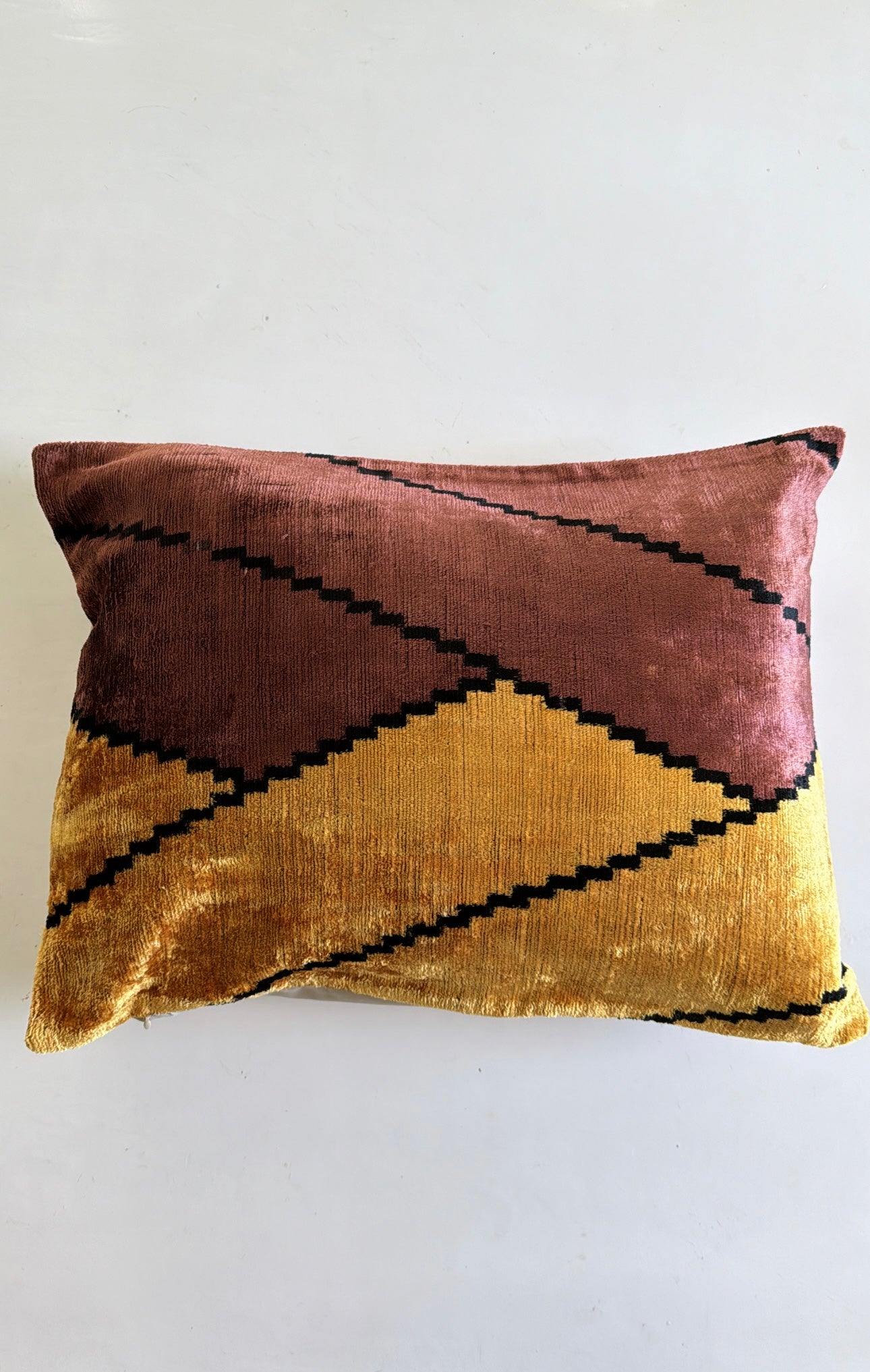 Velvet Cushion