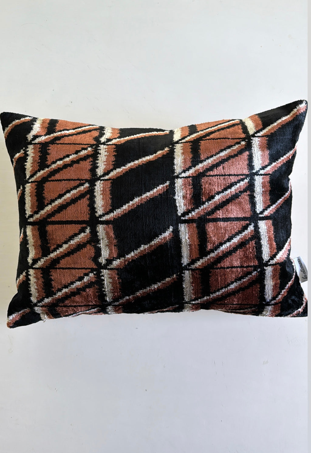 Velvet Cushion