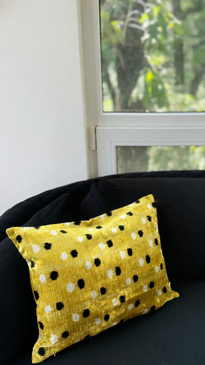 Velvet Cushion