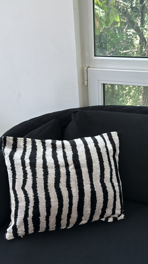 Velvet Cushion