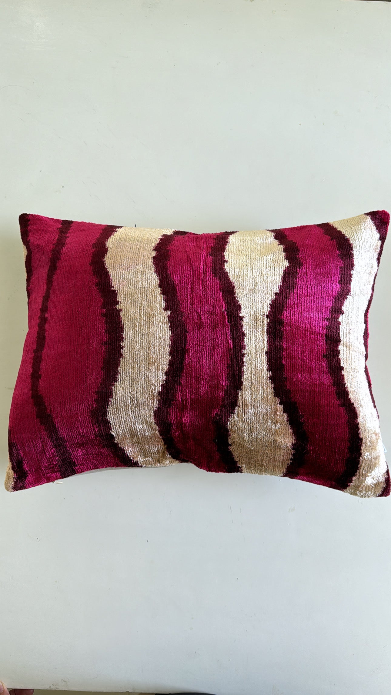 Velvet Cushion