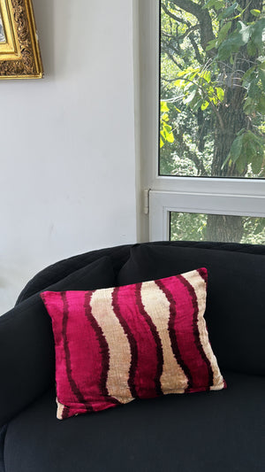 Velvet Cushion