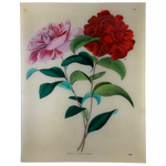 Stuttgart Flower 1843 Tray