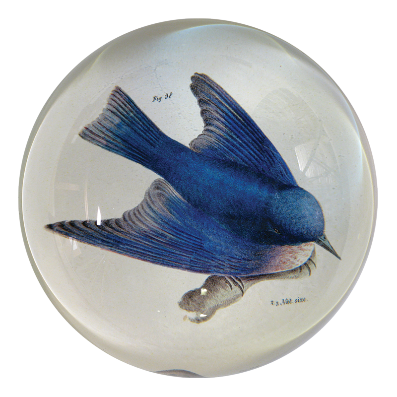Pudgy (Bluebird) Paperweight