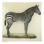 Zebra Tray