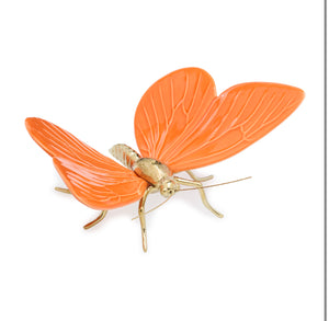 Butterfly (Envíos únicamente en Monterrey)