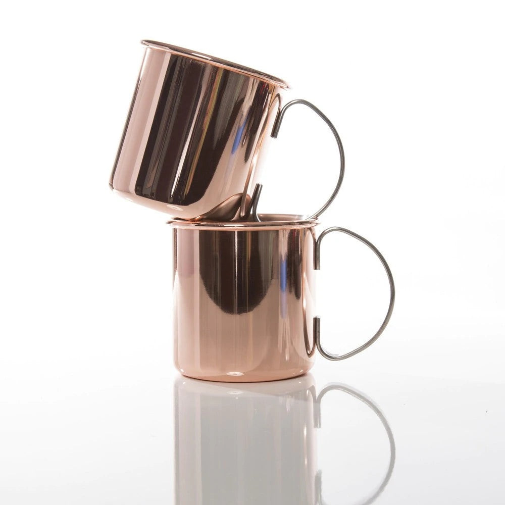 Set of 2 Burro Copper Mugs