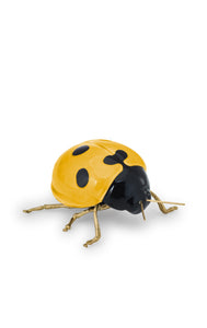 Ladybug