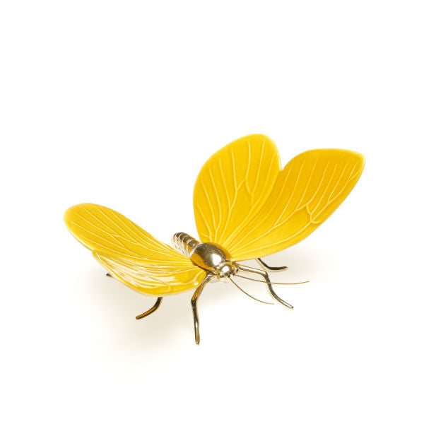 Butterfly (Envíos únicamente en Monterrey)